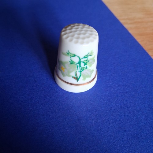 Alter porzellan fingerhut mit - alter,