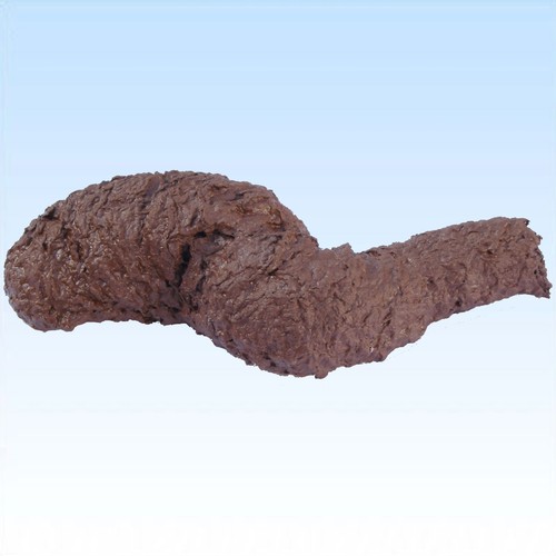 Kackwurst kacke kot ekliger - kackwurst,