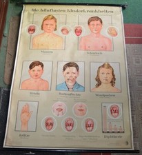 Schulwandkarte Rollkarte