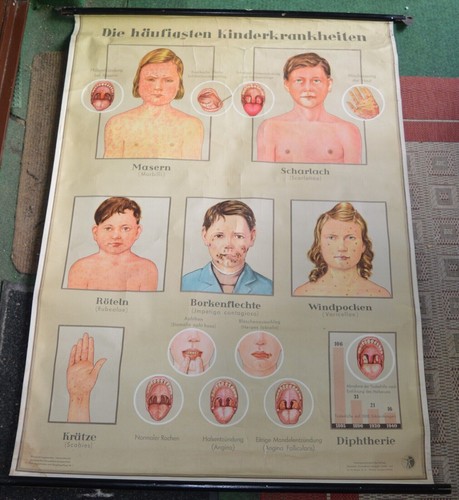 Schulwandkarte rollkarte - schulwandkarte,