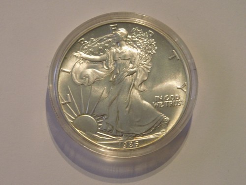 Usa dollar 1 unze - dollar,