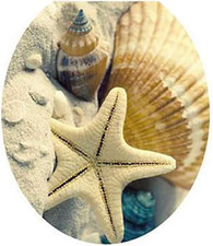 Abnehmbare Wc-Sitz Aufkleber