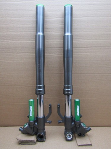 Kawasaki zx1000 10r - zx-10r, ninja