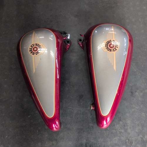 Harley davidson evolution - harley,