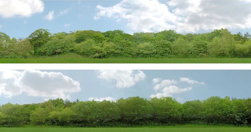 ho konvolut baume