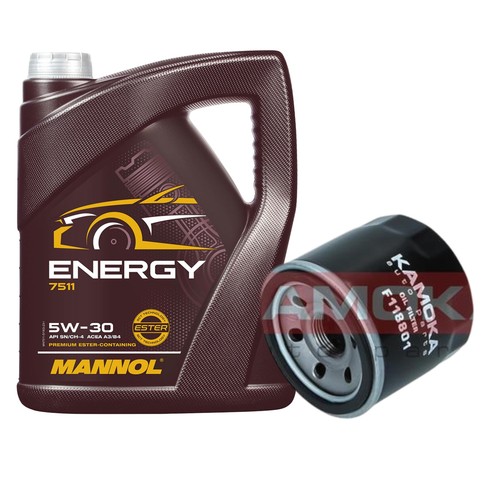 Inspektionspaket energy - 5l,