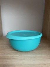 Tupperware Ergonomica