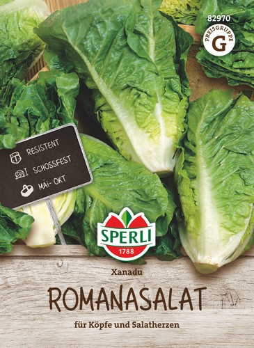 Romanasalatsamen xanadu - romanasalatsamen,