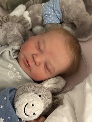 Reborn baby chase bonnie - reborn, by