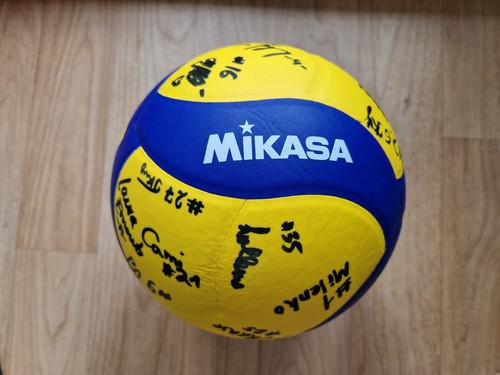 Volleyball mikasa v330w - volleyball,
