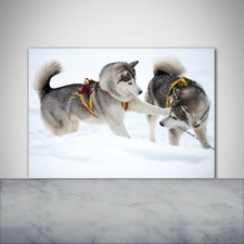 Küchenrückwand Spritzschutz