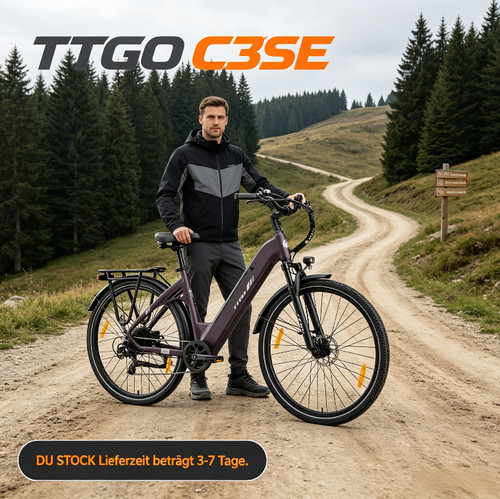 28zoll elektrofahrrad ttgo - 28zoll,