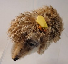 STEIFF Joggi, kleiner Igel, Knopf Fahne Schild