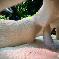 Eckaquarium Terrarium Versteck