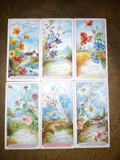 Stollwerck Sammelbilder, Album  3  Gruppe 111.