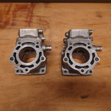 rgv 250 rs250 zylinder suzuki