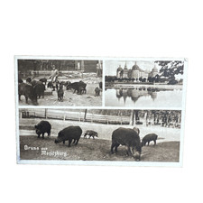Postkarte AK Radebeul Dresden