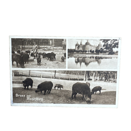 Postkarte radebeul dresden - postkarte, ak
