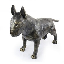 Bullterrier eine - bullterrier,