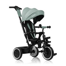 Berry multifunctional tricycle - berry,