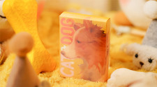 Cat dog playing cards by - cards, tcc