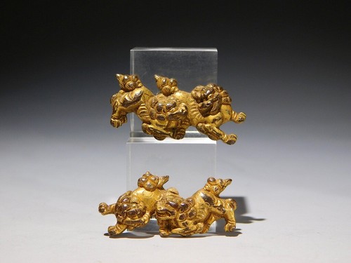 Goldene nihiki shishi - goldene,