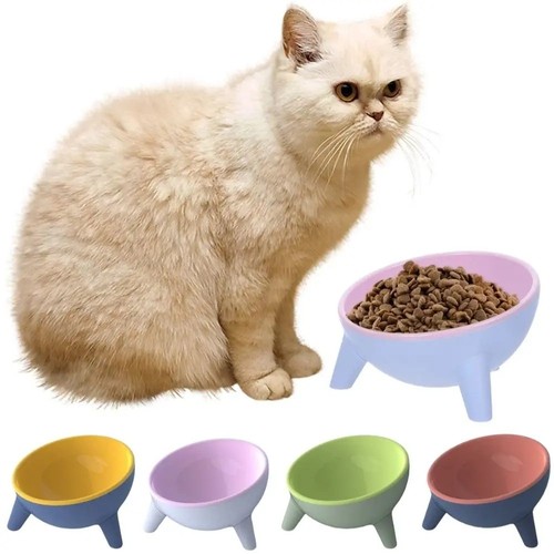 Katzennapf erhoeht grad - katzennapf, 15