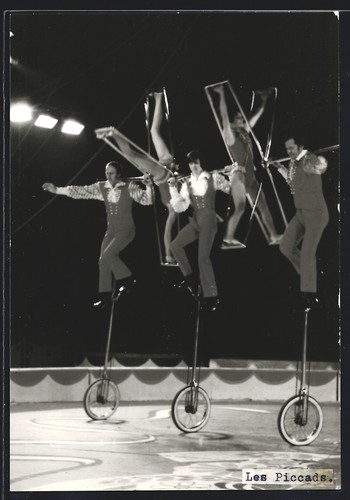 Fotografie zirkus circus - -,