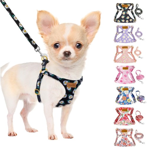Hundegeschirr leine wildleder - hundegeschirr,