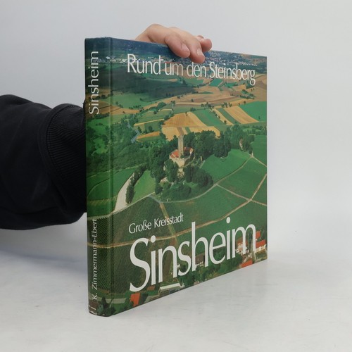 Große kreisstadt sinsheim - große,