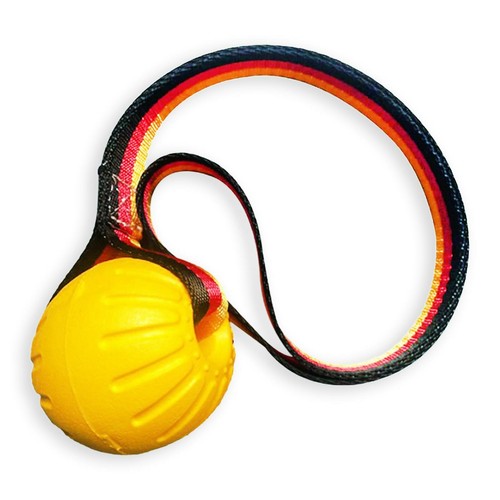 Hundespielzeug unzerstörbar - ,
