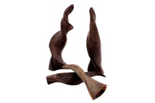 1 original Schafshorn Horn