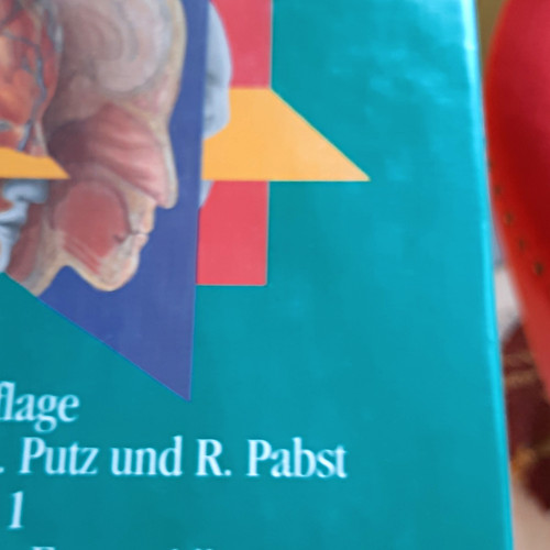 Sobotta atlas der anatomie des - anatomie,