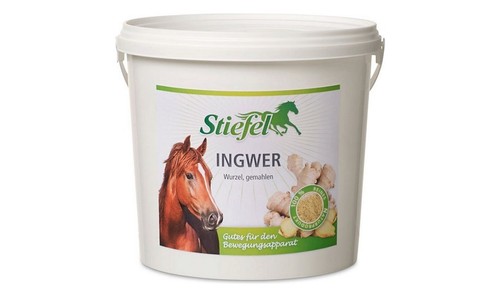 Stiefel ingwer gemahlen - ingwer,