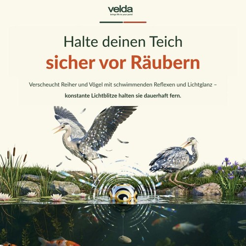 Velda reiherschreck heron stop - velda,