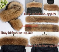 Natur Waschbär Kragen