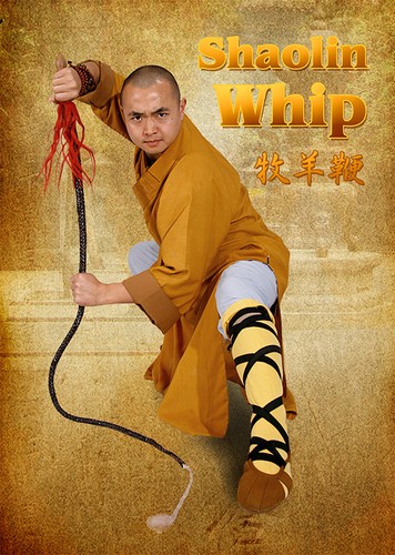 Shaolin whip kung fu dvd - -,