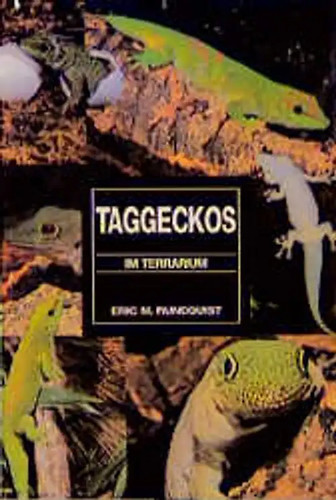Taggeckos terrarium - im,