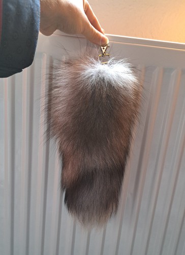 Fuchsschwanz schweif fuchs - schweif,