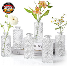 Kleine Glasvasen Set 6-teilig
