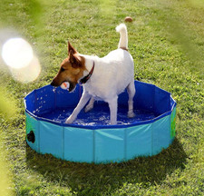 NEU Hundepool faltbar