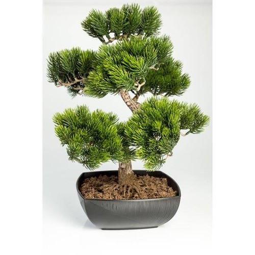 Artplants künstliche bonsai - artplants,