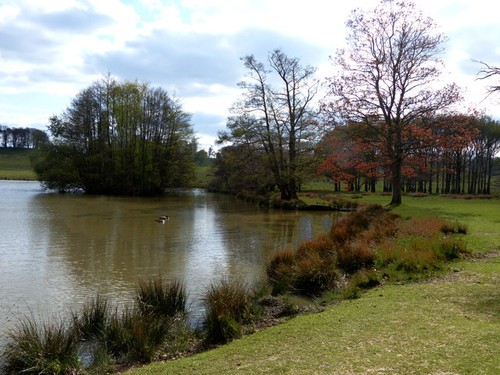 Foto 12x8 petworth park - petworth,