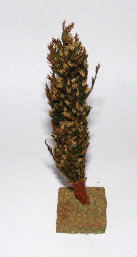 Pappel baum ddr uralt - ho,