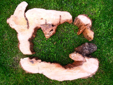Baumscheibe holzscheibe - baumscheibe,
