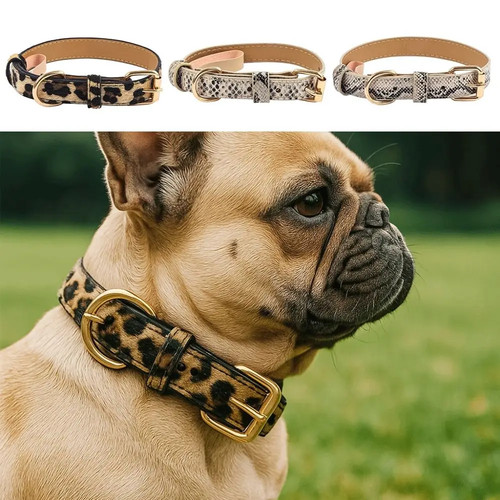 Modisches hundehalsband mit - hundehalsband,