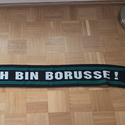 Vfl borussia mönchengladbach - vfl,