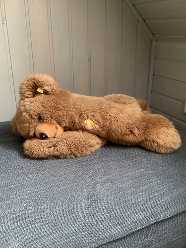 Original steiff sammler - steiff,