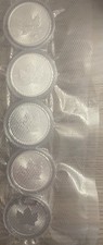 5 Unzen Silber Maple Leaf 2025