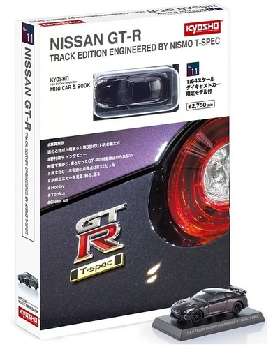 Kyosho nissan track - kyosho,